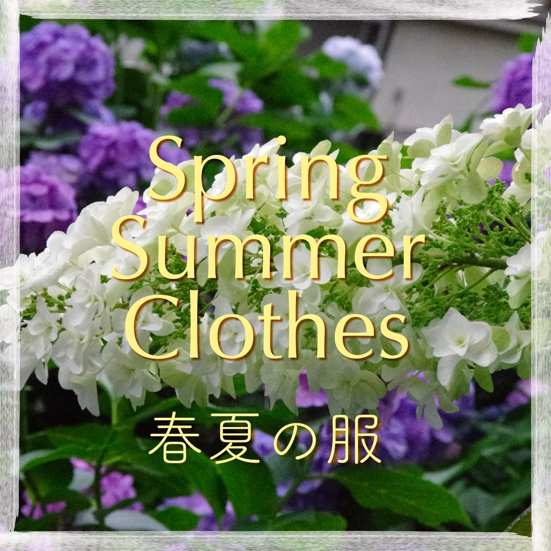 春夏の服