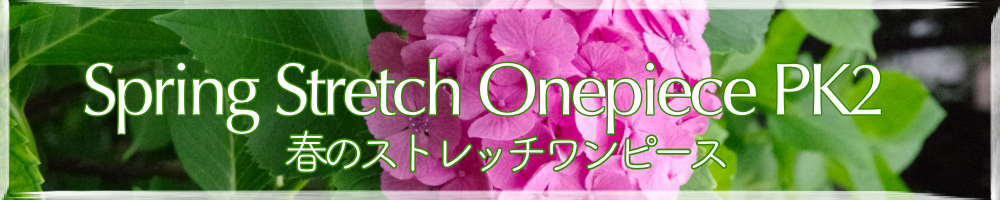 Spiring Stretch Onepiece PK2